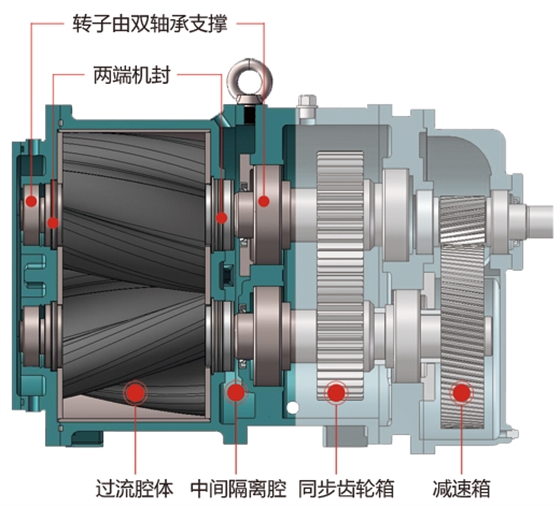 轉(zhuǎn)子泵雙支撐軸設(shè)計(jì)