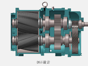 公司簡(jiǎn)介dss.jpg